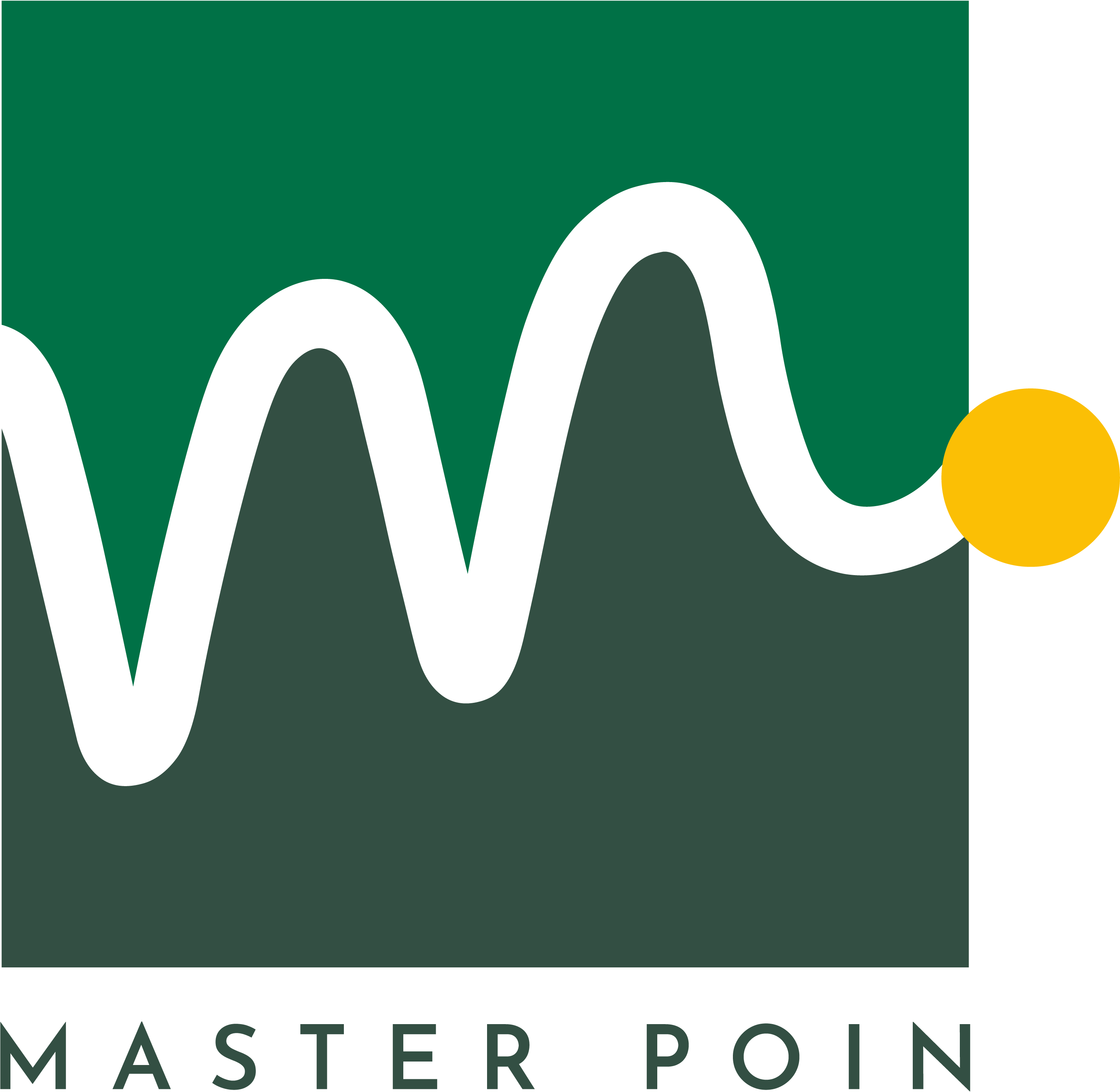 Master Point